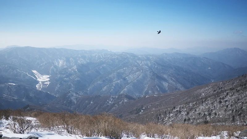 울산 다이소 직영점: 가성비 최고의 쇼핑 천국 5 울산 다이소 직영점