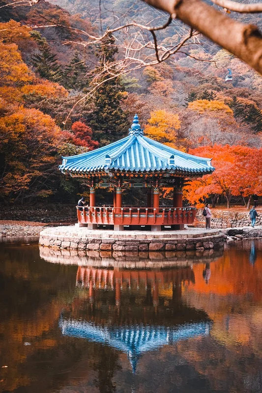 대한통운 배송조회: 효율적인 배송 관리의 꿀팁 4 대한통운 배송조회