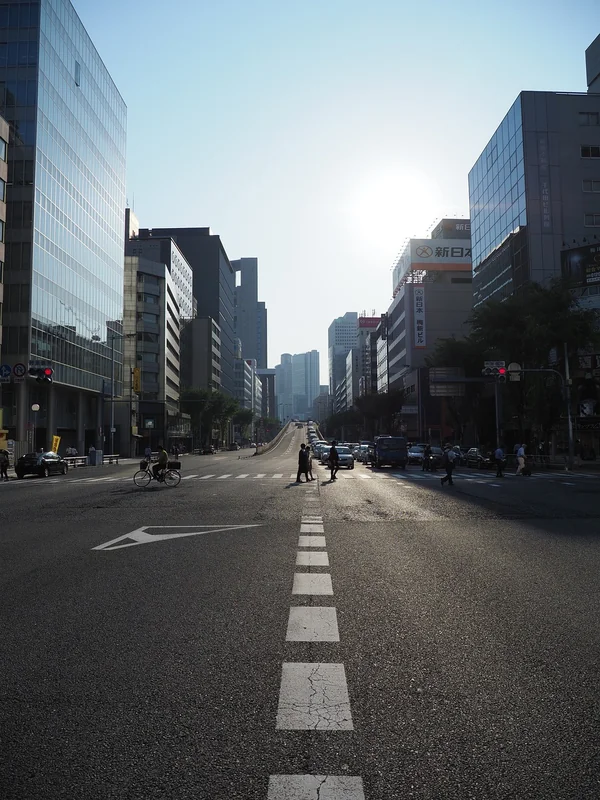 오사카 2월 날씨: 여행 시 필수 체크리스트와 꿀팁 2 오사카 2월 날씨