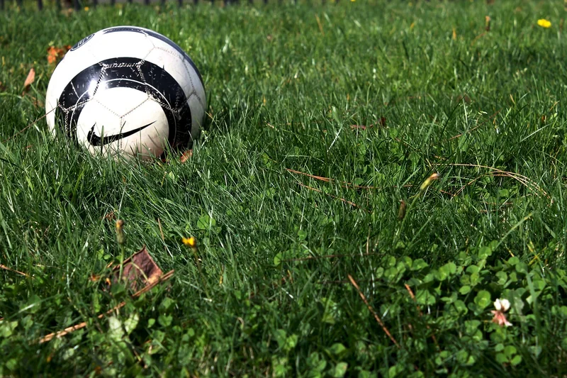 파산 신청 절차: 올바른 이해와 준비로 새로운 시작을 2 파산 신청 절차
