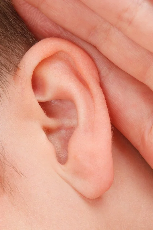 장애인 연금 신청 방법: 꿀팁과 필수 정보 총정리 5 장애인 연금 신청 방법