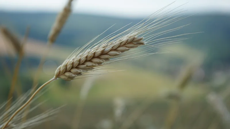 쿠팡 해킹 보상